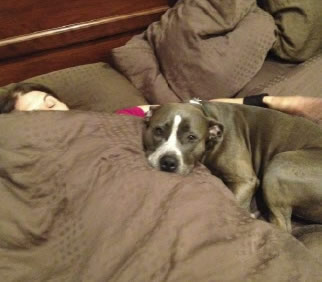 Overnight Pet Visits