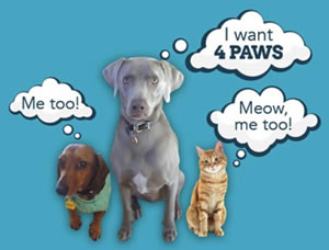 pet sitter service area
